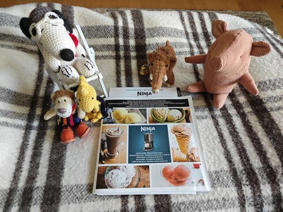 Verschiedene Stofftieren und Ludwig Löwe mit der Bedienungsanleitung der Eismaschine