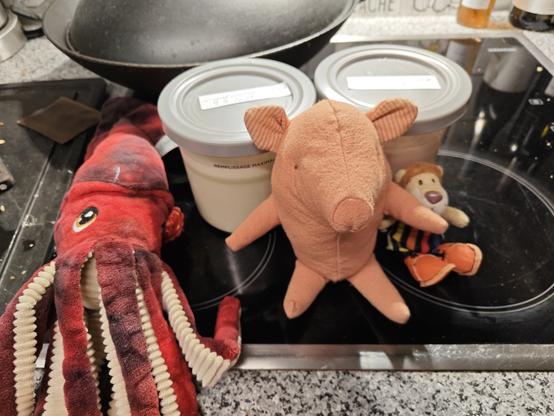 Ein Stoffkrake, ein Stoffschwein und Ludwig Löwe mit zwei Plastikbehältern, gefüllt mit selbstgemachtem Speiseeis.