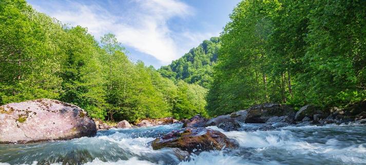 Los ríos han de fluir sin barreras artificiales, siempre que sea posible. / Sergey Alimov