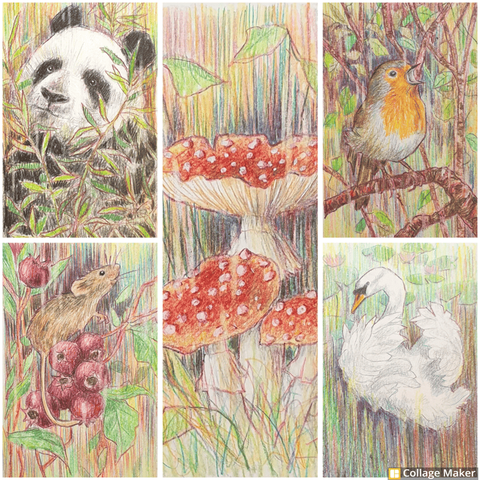 A photo collage of some of my original letterbox gift art:
A panda
A mouse with berries
fly agaric mushrooms
a singing robin
a swan with waterlilies