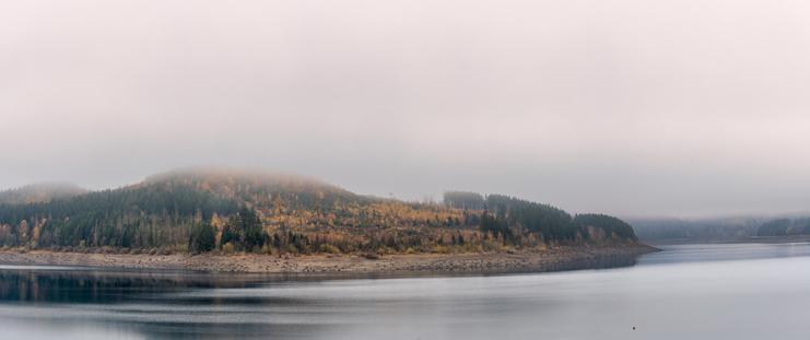 Dies ist eine sehr malerische, fast minimalistische Landschaftsaufnahme im Panorama-Format. Die Szene strahlt eine enorme Weite und Ruhe aus.
Hier ist die detaillierte Beschreibung:
1. Die Landschaft (Mittelgrund)
Landzunge: Im Zentrum des Bildes erstreckt sich eine Landzunge oder ein Uferbereich in das Wasser hinein. Die Form ist sanft hügelig.
Vegetation: Der Bewuchs ist typisch für den Herbst. Man sieht dunkelgrüne Nadelbäume (Fichten/Tannen), die sich mit leuchtend gelb-orangen Laubbäumen und Büschen abwechseln.
Zustand des Waldes: An einigen Stellen wirkt der Bewuchs etwas lichter oder karg, was (passend zu den vorherigen Bildern aus dem Harz) auf die dortigen Waldschäden oder schlicht auf den späten Herbst hindeuten könnte.
Uferlinie: Ein breiter, grauer Streifen aus Erde und Steinen trennt die Vegetation vom Wasser. Dies ist ein klassisches Anzeichen für einen Stausee (Talsperre) mit aktuell niedrigem Wasserstand.
2. Das Wasser (Vordergrund)
Oberfläche: Das Wasser ist dunkel und sehr ruhig. Es wirkt fast ölig oder seidig glatt.
Spiegelung: Die dunklen Silhouetten der Bäume spiegeln sich weich im Wasser, was dem Bild Tiefe verleiht.
3. Der Himmel und das Wetter (Hintergrund)
Nebel: Wie bei den vorangegangenen Bildern spielt das Wetter die Hauptrolle. Eine dichte, helle Nebel- oder Wolkendecke hängt extrem tief.
Verlauf: Der Nebel liegt direkt auf den Hügelkuppen auf und lässt die Landschaft nach oben hin ins Weiße verblassen ("Fade to White"). Dadurch entsteht viel soge