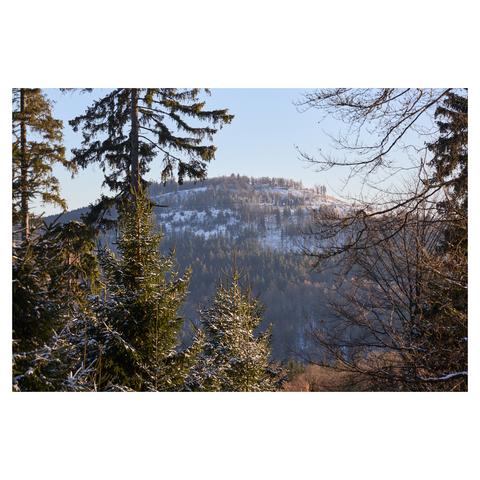 Landscape image taken with a long lens. The peak of a wooded mountain is visible in the background. The foreground is partly obscured by snow covered trees. The sky is a clear, light blue.