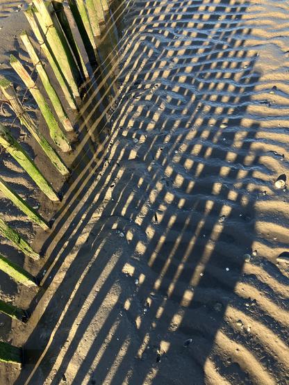 Looking down on the shadow of a fence on the shadows caused by sand ripples intersecting to make a wobbly grid.