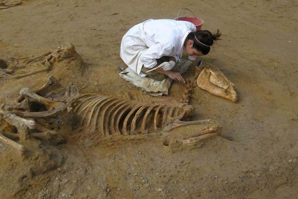 Una giovane archeologa esamina le ossa di un animale durante uno scavo archeologico in un sito di interesse storico.