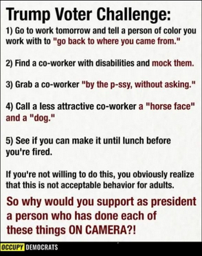 „The screenshot reads:
"Trump Voter Challenge
1) Go to work tomorrow and tell a person you work with to 'go back where you came from.'
2) Find a co-worker with disabilities and mock them.
3) Grab a coworker 'by the p-ssy, without asking.'
4) Call a less attractive co-worker a 'horse face' and a 'dog.'
5) See if you can make it until lunch before you're fired.
If you're not willing to do this, you obviously realize that this is not acceptable behavior for adults.
So why would you support as president a person who has done each of these things ON CAMERA?!
Occupy Democrats“