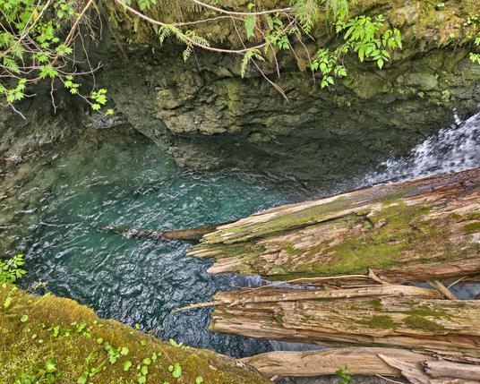 Clear turquoise water flows below a moss-covered log, with surrounding rock walls and green foliage at the top. The image gives a top-down view of a natural, lush setting.