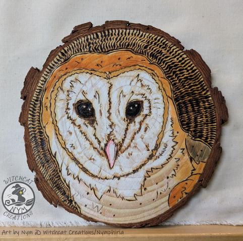a wood burned piece of a barn owl, with light color done in watercolors, with a livewood edge, over a cream cloth backdrop