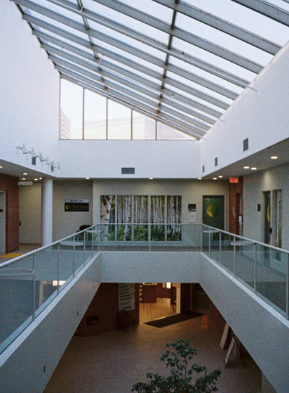 A interior photo of what is actually a medical building, from the upper floor atrium, we look across an opening to the lower floor, design such that the light from the large, angled skylight above will reach both levels. Across from us, a false window displays a photograph of a birch forest.