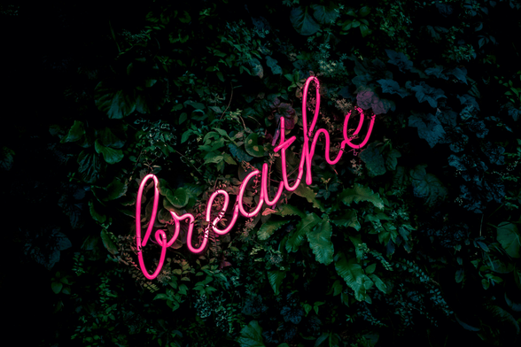 A neon pink sign with "breathe" in cursive against a backdrop of green leaves.