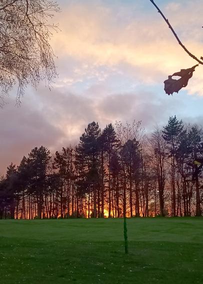 The yellow/orange of the setting sun can be seen behind a row of pines on a low ridge.