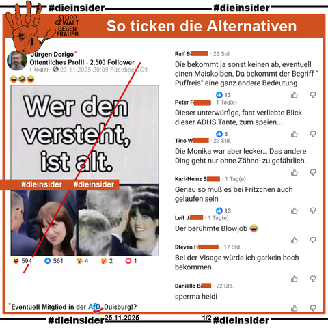 Auf dem öffentlichen Profil bei Jürgen Dorigo mit 2.500 Follower und eventuell Mitglied bei der AfD Duisburg teilt der Verfasser ein Bild, auf dem man Heidi Reichinnek und den Hinterkopf von Bundeskanzler Friedrich Merz im Vergleich mit Monica Lewinsky und dem Hinterkopf von Bill Clinton, dem damaligen US-Präsidenten sieht. Dazu steht auf dem Bild "Wer den versteht, ist alt." und von Jürgen Dorigo mit drei "😂🤣😂" kommentiert wird.

Wir zeigen mit unserer Überschrift "STOPP GEWALT GEGEN FRAUEN: So ticken die Alternativen." auf Slide 1 u.a. die Kommentare: 
"Die bekommt ja sonst keinen ab, eventuell einen Maiskolben. Da bekommt der Begriff 'Puffreis' eine ganz andere Bedeutung.", 
"Dieser unterwürfige, fast verliebte Blick dieser ADHS Tante, zum speien...", 
"Die Monika war aber lecker… Das andere Ding geht nur ohne Zähne- zu gefährlich.", 
"Genau so muß es bei Fritzchen auch gelaufen sein.", 
"Der berühmte Blowjob. 😂", 
"Bei der Visage würde ich garkein hoch bekommen." und 
"Sperma heidi."