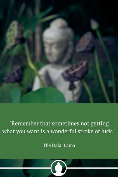 HH the Dalai Lama: Sometimes, not getting what you want is an enormous stroke of luck.