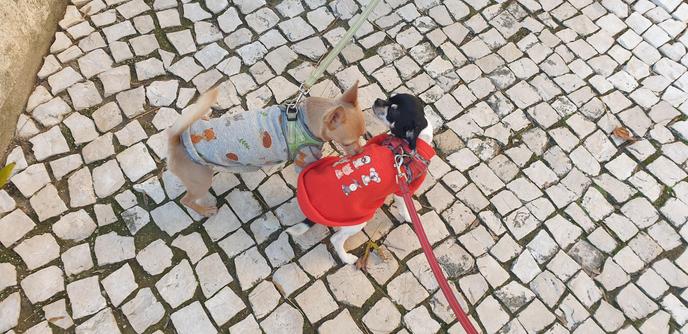 Nico meets niki in the afternoon