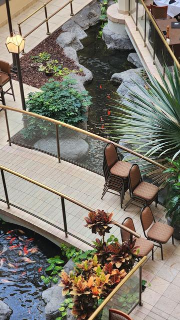 Bridge over a koi pond in a hotel interior.
~
Brug over een koivijver in een hotelinterieur.
~
Pont au-dessus d’un bassin de carpes koï dans un intérieur d’hôtel.