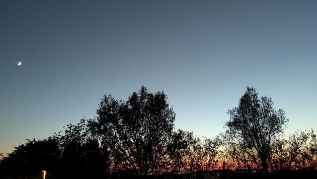 Un tramonto serale caratterizzato da un forte contrasto tra la parte superiore del cielo, ancora di un blu profondo che sfuma verso l'azzurro, e l'orizzonte infuocato da sfumature di arancione e rosso intenso.
La luce del sole basso all'orizzonte deve attraversare un maggiore strato di atmosfera, disperdendo i colori blu e lasciando dominare le tonalità calde del rosso e dell'arancione vicino al suolo.
La silhouette scura e netta di alberi e vegetazione si staglia contro il cielo luminoso, creando un forte contrasto visivo.
Una piccola e luminosa falce di luna crescente è visibile nell'angolo superiore sinistro, in alto nel cielo più scuro. La luna crescente è la prima fase visibile dopo la luna nuova e si può osservare nel cielo occidentale dopo il tramonto.