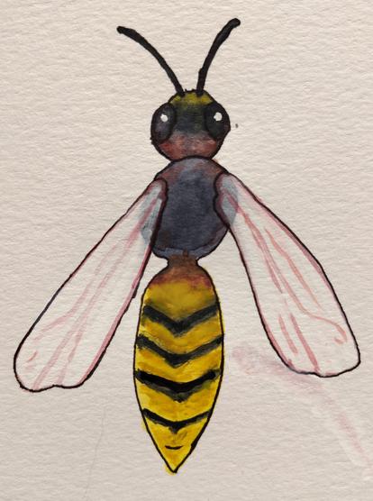 A wasp with a greyish thorax, red and yellow highlights on its face, and black stripes on a yellow abdomen.