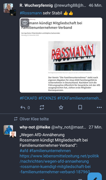 Screenshot zweier Social-Media-Posts in meiner Timeline: Oben ein unzugänglicher Beitrag – nur ein Bild eines Artikels zu Rossmanns Austritt wegen AfD-Annäherung, jedoch ohne Alttext und sonstigem Text. Unten ein barrierefreier Post mit Link und kurzer Einordnung.