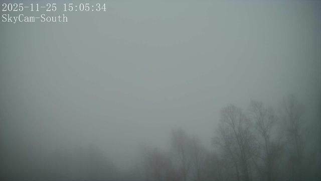 This webcam usually shows a view of the sky with trees in the foreground. It's foggy. It's 48ºF/9ºC.