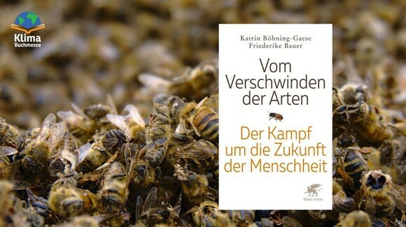 Ein Bild mit sehr vielen Bienen als Hintergrund, im Focus der Buchtitel „Vom Verschwinden der Arten“