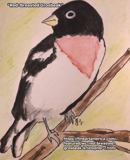 https://fineartamerica.com/featured/wc-red-breasted-grosbeak-kristopher-r.html