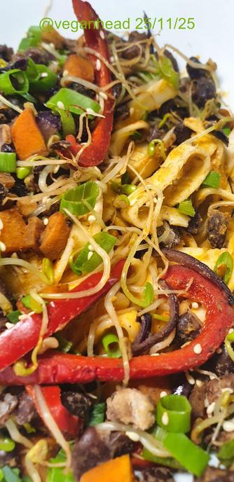 A bowl of Udon noodles in Tahini & Adzuki bean Miso sauce, w/ stir fried black beans, vegetables & sprouted fenugreek seeds. Topped w/ fresh spring onion & roasted sesame seed.