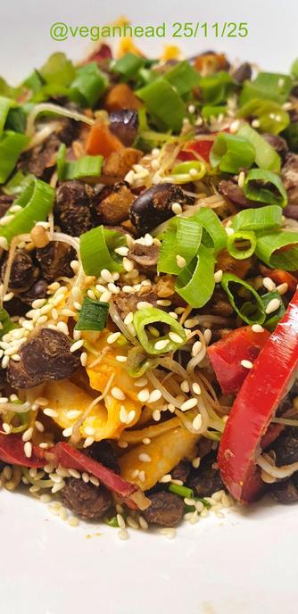 A bowl of Udon noodles in Tahini & Adzuki bean Miso sauce, w/ stir fried black beans, vegetables & sprouted fenugreek seeds. Topped w/ fresh spring onion & roasted sesame seed.
