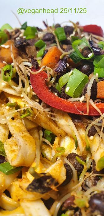 A bowl of Udon noodles in Tahini & Adzuki bean Miso sauce, w/ stir fried black beans, vegetables & sprouted fenugreek seeds. Topped w/ fresh spring onion & roasted sesame seed.