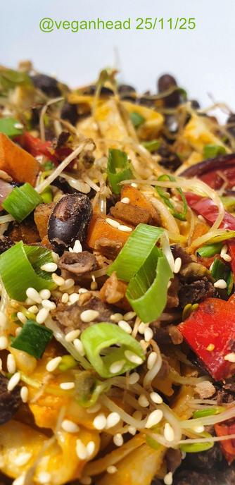 A bowl of Udon noodles in Tahini & Adzuki bean Miso sauce, w/ stir fried black beans, vegetables & sprouted fenugreek seeds. Topped w/ fresh spring onion & roasted sesame seed.