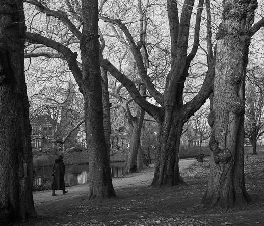 A person walks along a path in a park surrounded by tall, bare trees. The scene is in black and white, evoking a serene, calm atmosphere. A canal is visible nearby, and a house can be seen in the background.