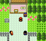 Screenshot of Pokémon Gold
