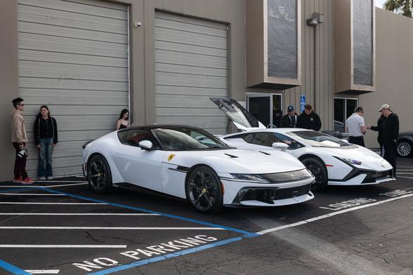 A pair of white exotics.