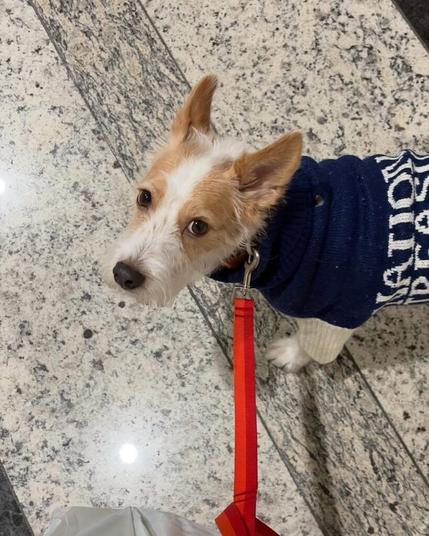 251126 - روزي (hank_says_hank) تحديث الانستقرام