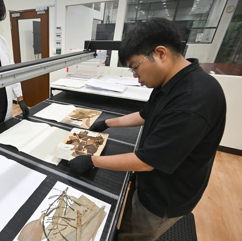 Singapore Herbarium goes online