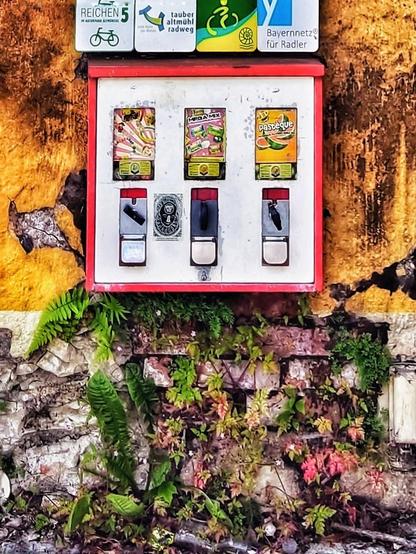 Ein Kaugummiautomat hängt unter Hinweisschildern an einer brüchige Hauswand. Aus deren Ritzen wächst allerlei Grün.