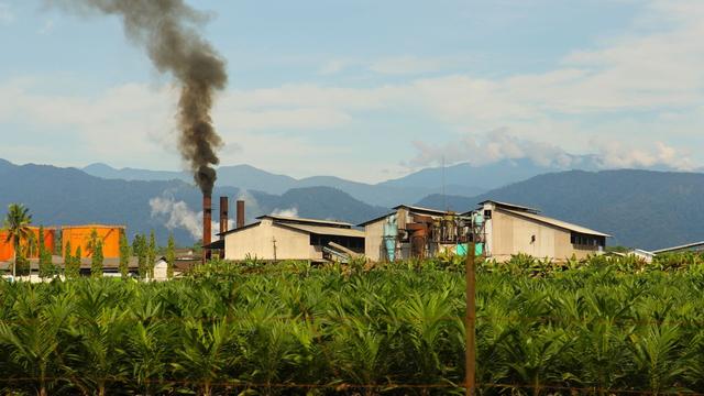 #News: Police and local people clash violently about #palmoil #landgrabbing in #Kalangala #Uganda. Resist every time you shop and 🧐🚫 #BoycottPalmOil #Boycott4Wildlife #humanrights @palmoildetect 
https://www.monitor.co.ug/uganda/news/national/rift-erupts-between-police-and-kalangala-forestry-staff-5250800?utm_source=mastodon&utm_medium=Palm+Oil+Detectives&utm_campaign=publer