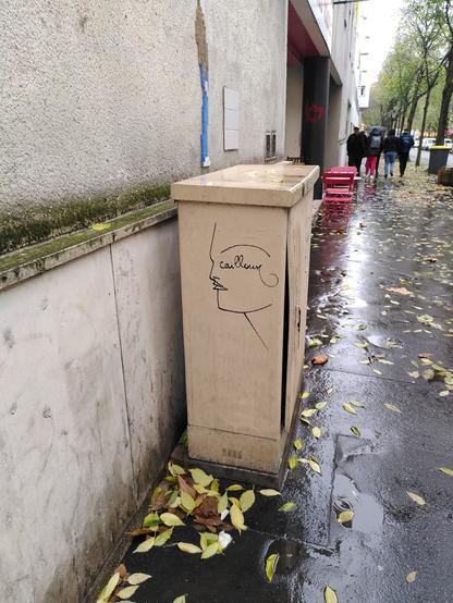 Visage esquissé d'un trait noir sur un boitier de compteur électrique dans la rue, avec l'inscription cailloux au niveau des yeux