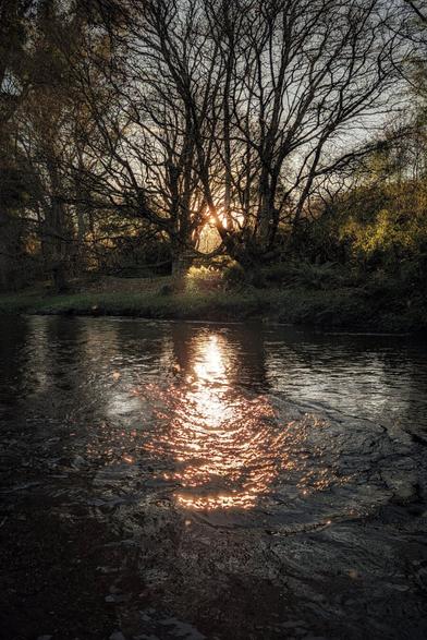A vertical photograph of a dark, flowing river reflecting a brilliant, starburst-like patch of golden-orange sunlight. The sun is setting behind a cluster of large, silhouetted deciduous trees on the far bank, their bare branches creating a dark frame for the bright light. The water in the foreground is dark and rippled, highlighting the bright, broken reflection of the sun. The scene has a dramatic, serene morning mood.