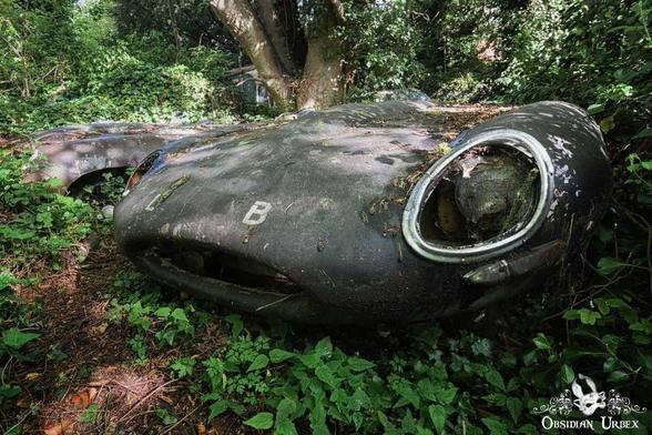A rusted, decaying car sits among the overgrowth of vegetation, with the letters "L" and "B" still visible on its front.