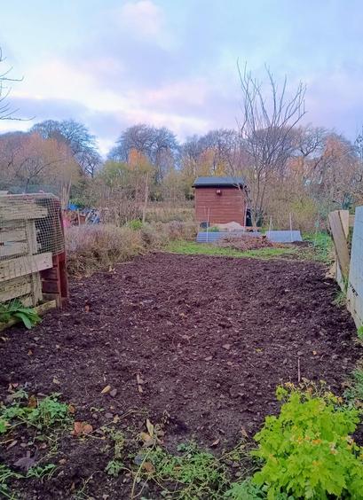 At this time of year there is a lot of bare ground at the allotment plot (centre of shot), the trees have lost most of their leaves (middle area) and the sky has a late afternoon, autumnal look.