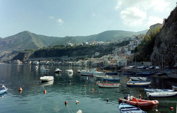 A view of a seaside village, with small boats moored in the foreground.