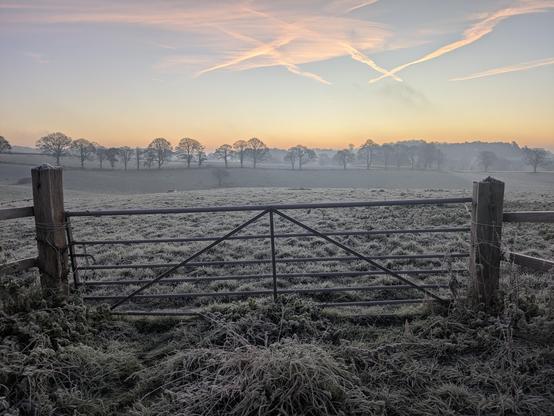 ​A serene, horizontal landscape photo of a rural field on a cold morning, heavily covered in white frost. A metal gate, slightly offset from the center and framed by two wooden posts, stands in the foreground, with the surrounding grass and undergrowth completely crystallised with frost. The field beyond the gate is flat and also covered in frost, extending towards a distant, low line of deciduous trees that are silhouetted against the pale morning sky. The sky is a gradient of soft, muted colors, transitioning from a pale yellow and orange near the horizon to a cool, light blue at the top. Several crisscrossing, white contrails from aircraft are visible in the upper sky, catching the soft light. The overall mood is peaceful, quiet, and frosty.