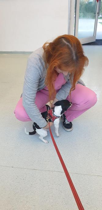 So now is waiting time and hoping for the best!