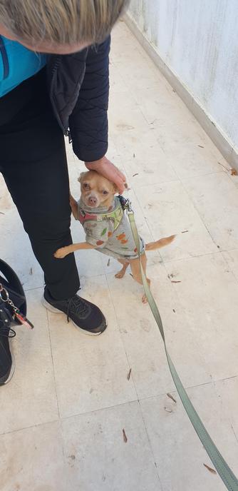 and some human friends as well