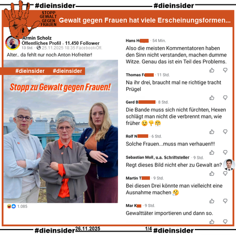 Katharina Dröge, Britta Haßelmann und Ulle Schauws von Bündnis 90/Die Grünen posten am 25.11.2025 "Stopp zu Gewalt gegen Frauen!" und ein Bild von sich.
Armin Scholz teilt auf seiner öffentlichen Seite mit 11.450 Follower das Bild der drei Bundestagsabgeordneten und postet "Alter.. da fehlt nur noch Anton Hofreiter!" dazu.

Unter unserer Überschrift "STOPP GEWALT GEGEN FRAUEN: Gewalt gegen Frauen hat viele Erscheinungsformen..." zeigen wir auf Slide 1 u.a. die Kommentare: 
"Also die meisten Kommentatoren haben den Sinn nicht verstanden, machen dumme Witze. Genau das ist ein Teil des Problems.", 
"Na ihr drei, braucht mal ne richtige tracht Prügel.", 
"Die Bande muss sich nicht fürchten, Hexen schlägt man nicht die verbrennt man, wie früher. 😉👎😤", 
"Solche Frauen...muss man verhauen!!!", 
von Sebastian Moll, u.a. Schriftsteller "Regt dieses Bild nicht eher zu Gewalt an?", 
"Bei diesen Drei könnte man vielleicht eine Ausnahme machen. 🤔" und 
"Gewalttäter importieren und dann so."
