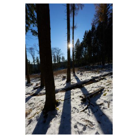 Vertical landscape image taken on a wooded mountainside. Snow is covering much of the visible ground. Tall trees are captured as silhouettes, with the sun peeking out behind a tree in the center. The sky is cloudless and deep blue.