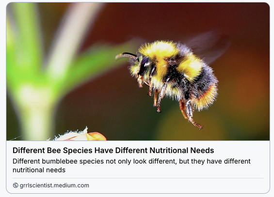 very cute and fuzzy tiny bumblebee in flight