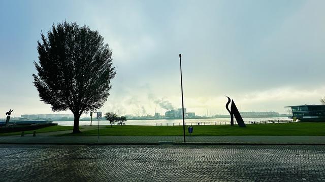 A wide angle shot of the New Waterway canal with a big tree and gloomy grey industry behind it.