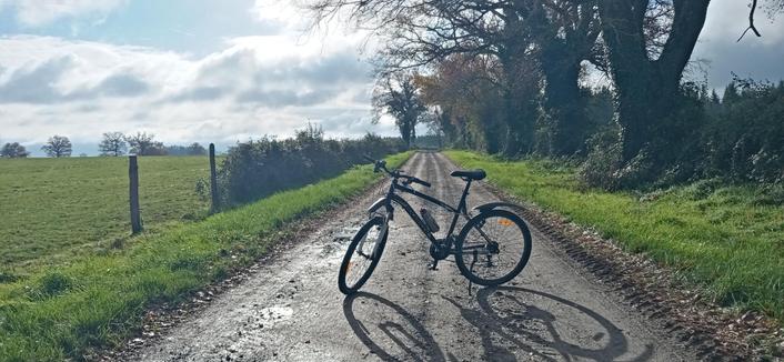 Un vélo garé sur un chemin. Des arbres à droite et un pré à gauche
