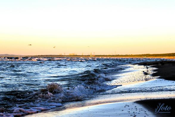 Willkommen auf der Insel Usedom im schönen Seebad Ahlbeck, hier ein Blick in Richtung Swinemünde. Es weht ein frischer Wind, kleinere und größere Wellen tauschen sich aus, am Strand lassen sich zwei Möwen die Füße waschen 😉. Der Himmel leider etwas milchig, die Luft ist klar und angenehm. 
Na wer hat Lust auf einen Strandspaziergang?