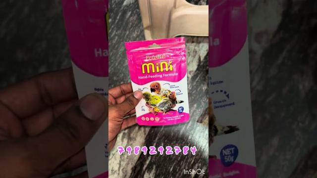 Guppy Fish 🐠 #guppy #tiger #fish #aquarium #bamboo #birds #viral #pets #shorts #viralvideo #gooty